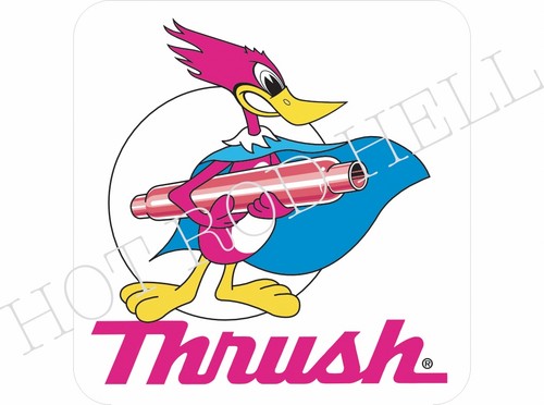 Thrush muffle vintage - thrush,